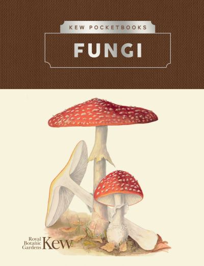 The Magic Of Mushrooms: Fungi In Folklore, Superstition And - Foto 11