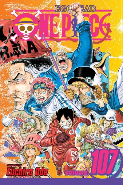 One Piece. Volume 110 - Dubray Books